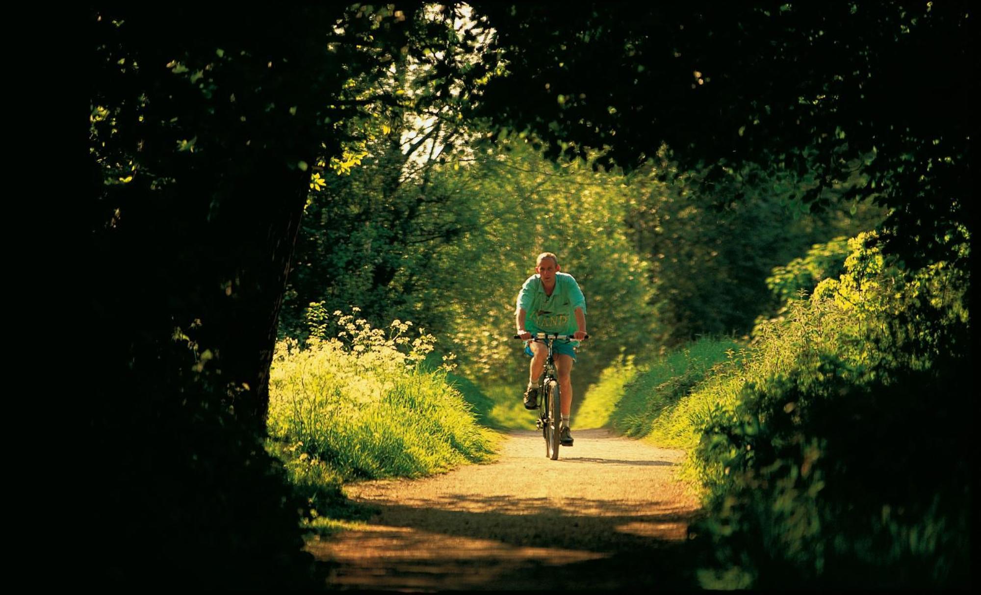 Dromroe Village University Of Limerick Junction المظهر الخارجي الصورة